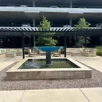 Cozy & Comfortable ! In The Heart Of Dallas
